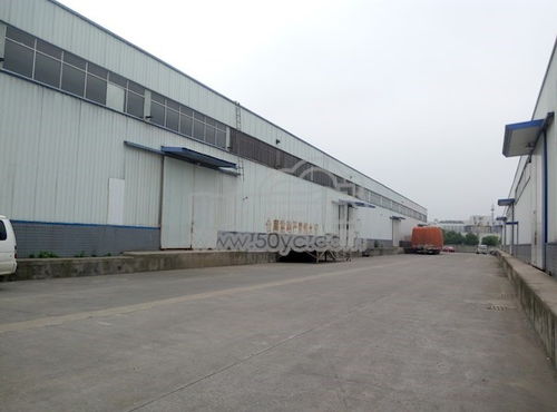 文星鎮(zhèn)川齒路物流園區(qū)高臺庫出租 物聯(lián)云倉助力智慧倉儲新升級